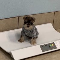 Bee Cave Veterinary Clinic ico