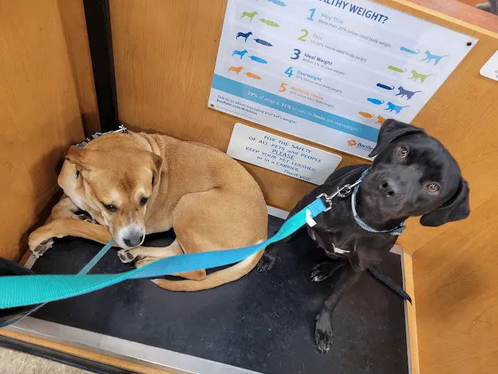 Banfield Pet Hospital 9