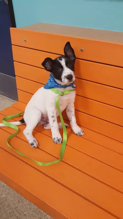 Banfield Pet Hospital 7