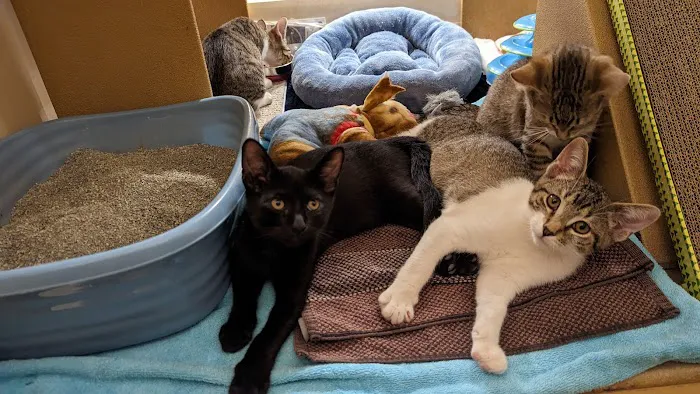 Banfield Pet Hospital 5