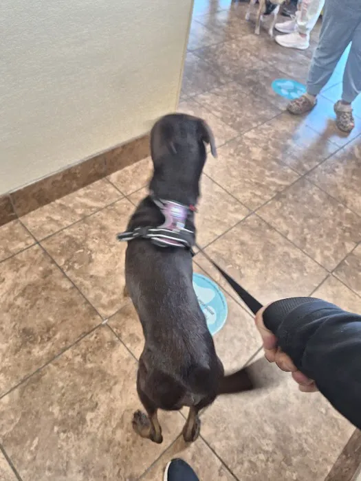 Banfield Pet Hospital 8
