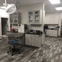 Kindred Animal Hospital ico