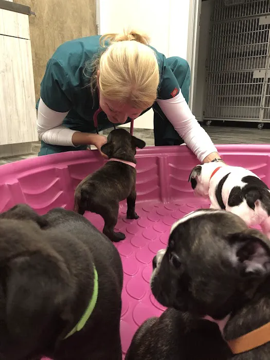 Kindred Animal Hospital 12