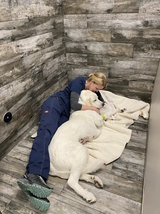 Kindred Animal Hospital 12