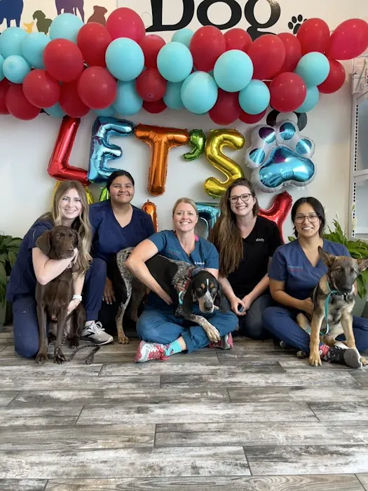 Kindred Animal Hospital 12
