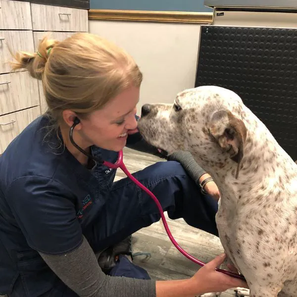 Kindred Animal Hospital 12