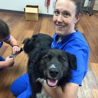 Firehouse Animal Health Center Kyle ico