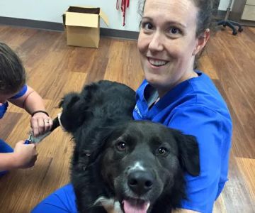 Firehouse Animal Health Center Kyle