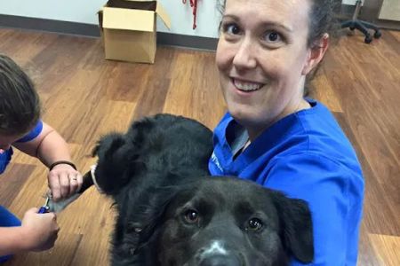 Firehouse Animal Health Center Kyle