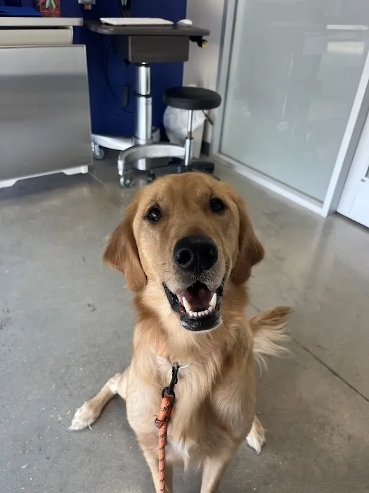 Firehouse Animal Health Center Kyle 12