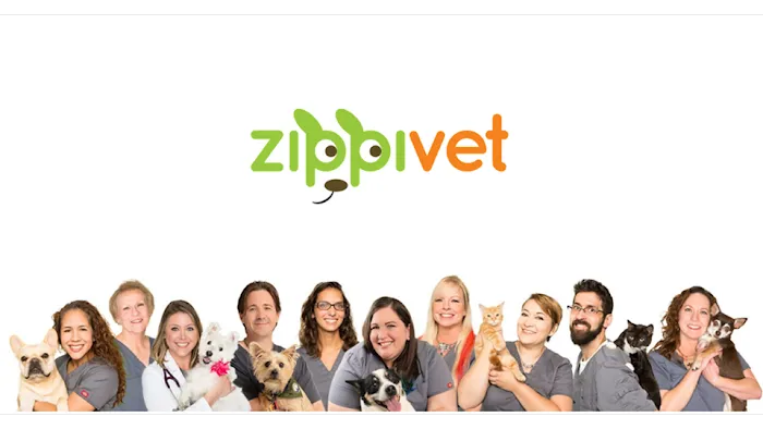 ZippiVet 12