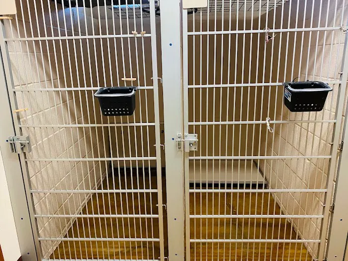 Cornerstone Animal Hospital 10