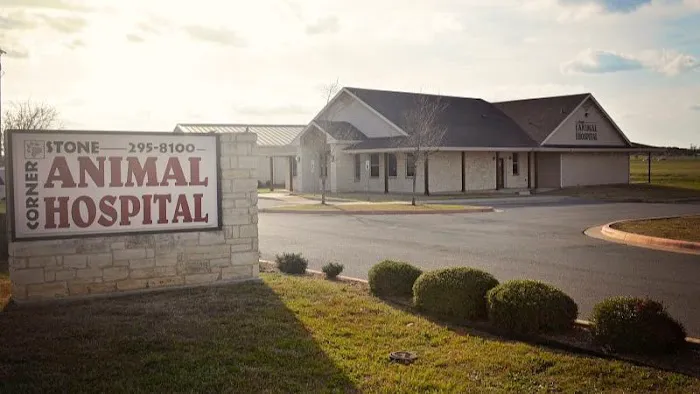Cornerstone Animal Hospital 7
