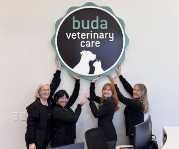 Buda Veterinary Care