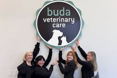 Buda Veterinary Care