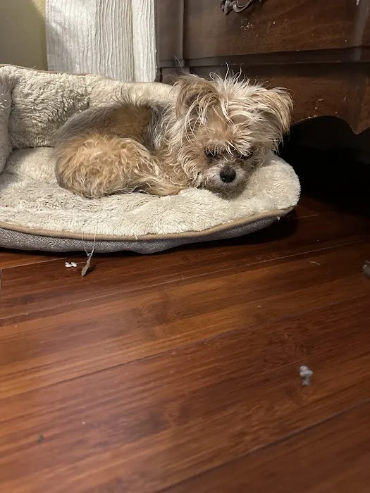 Buda Veterinary Care 7