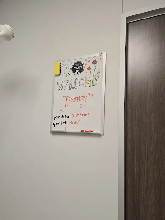 Buda Veterinary Care 10