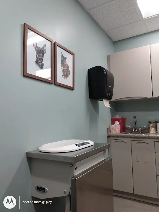 Glade Creek Animal Hospital, PLLC 5