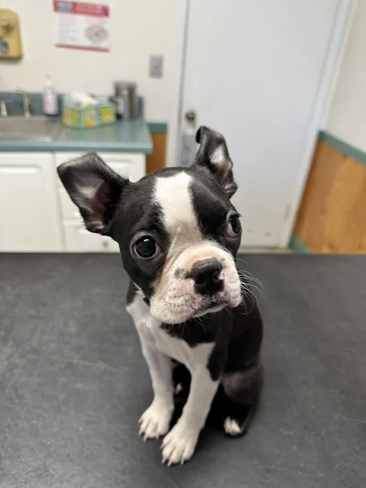 Twin Oaks Veterinary Hospital 8