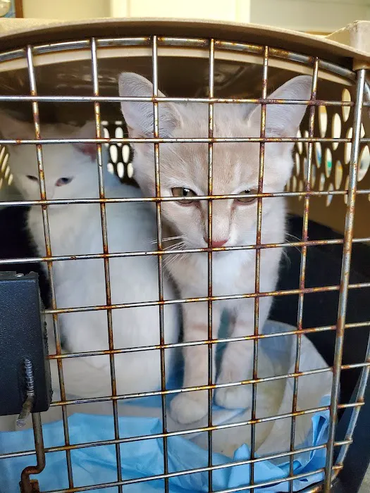 Twin Oaks Veterinary Hospital 10