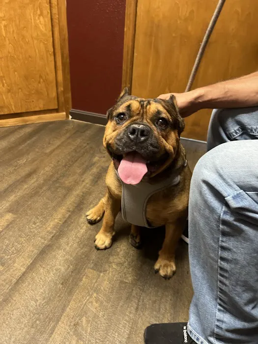 Tipton Ridge Veterinary Center 6