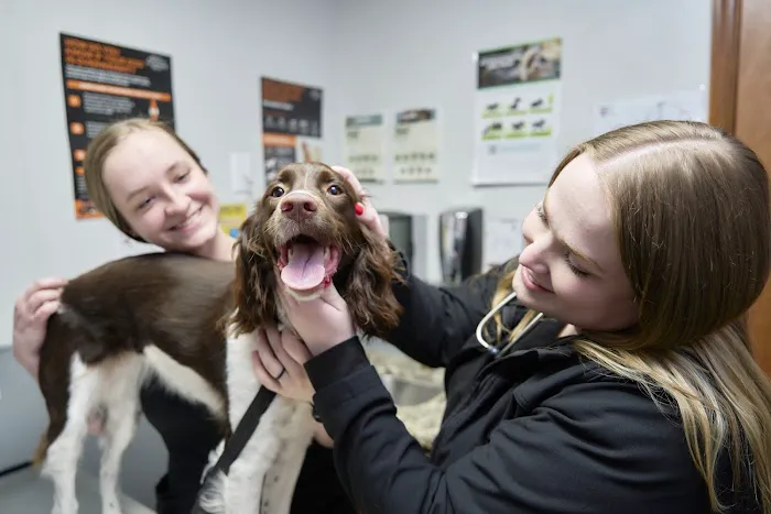 Tipton Ridge Veterinary Center 5