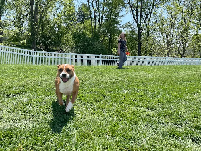 Tipton Ridge Veterinary Center 8