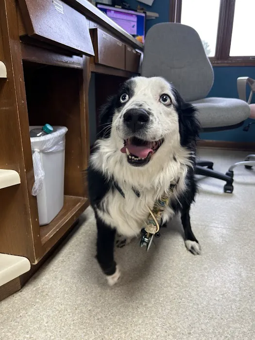 Tipton Ridge Veterinary Center 7