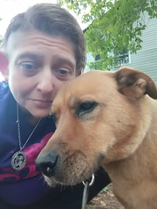 Community Animal Hospital 12