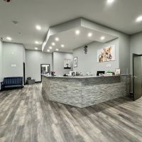Community Animal Hospital ico