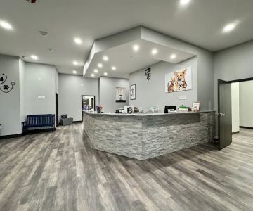 Community Animal Hospital
