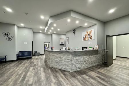Community Animal Hospital
