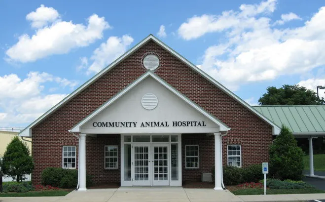 Community Animal Hospital 12