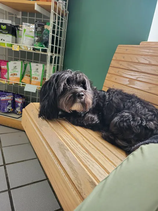 Community Animal Hospital 12