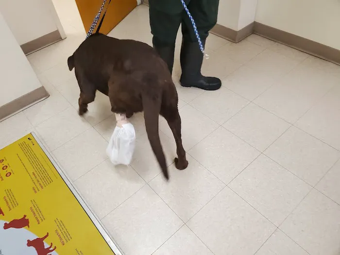 Dublin Animal Hospital 6