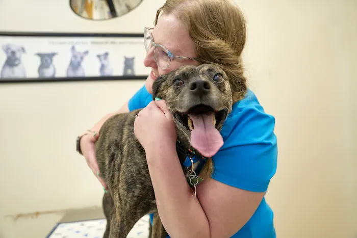 Dublin Animal Hospital 9