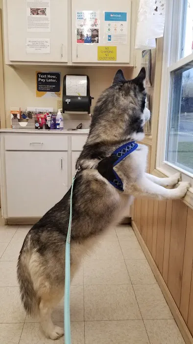 Community Animal Clinic, Inc. 3