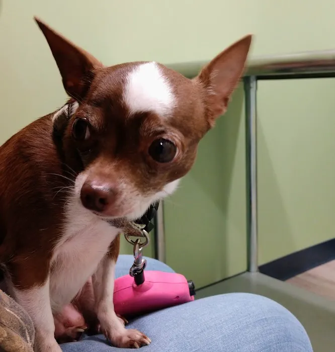 Stokesdale Veterinary Hospital 4