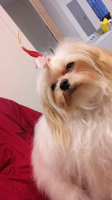 King's Crossing Animal Hospital 4