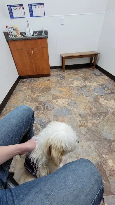 King's Crossing Animal Hospital 5