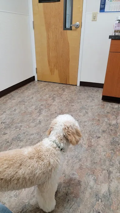 King's Crossing Animal Hospital 1