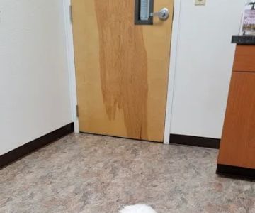 King's Crossing Animal Hospital