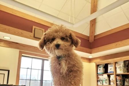 The Animal Hospital At Lake Brandt