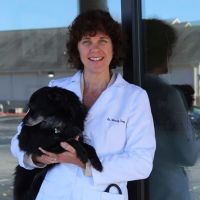 Northwest Animal Hospital: Stockard Camp, Wendy ico