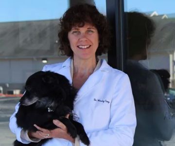 Northwest Animal Hospital: Stockard Camp, Wendy