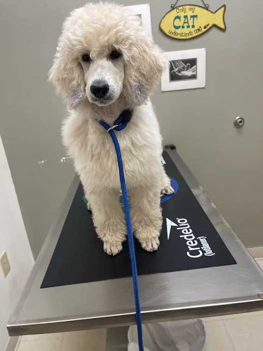 Northwest Animal Hospital : Veterinarian, Oak Ridge, NC 6