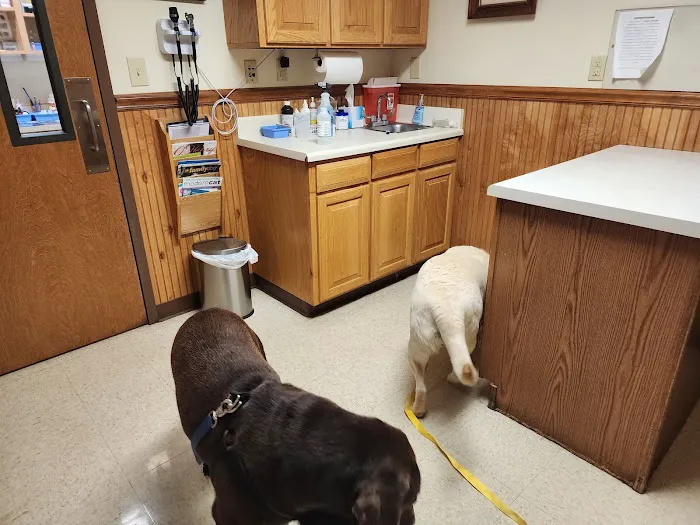 Summerfield Veterinary Hospital P.L.L.C. 12