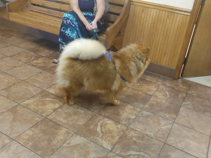 Summerfield Veterinary Hospital P.L.L.C. 12