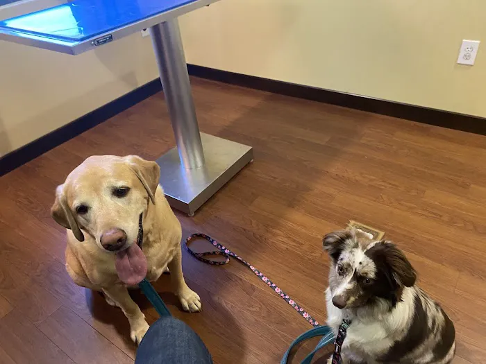 Carr Veterinary Hospital 6