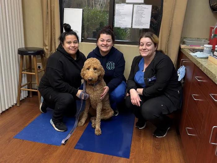 Carr Veterinary Hospital 7